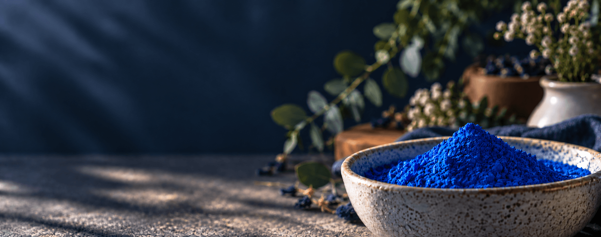 Blue spirulina powder arranged in a still life.